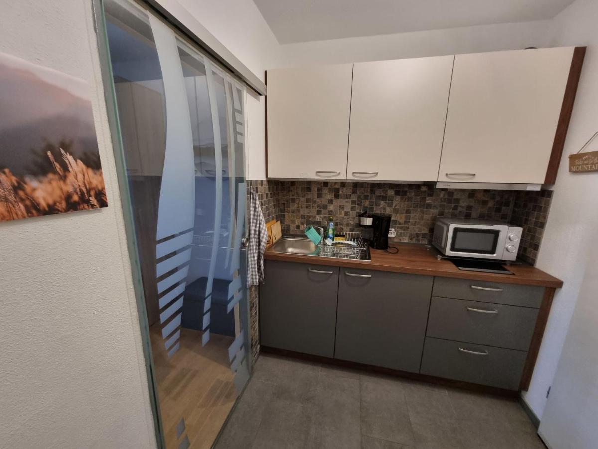 Apartment Alpensicht By Interhome Höchenschwand Eksteriør billede